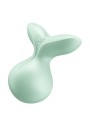 Viva la Vulva 3 mint