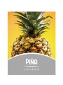 CONDON UNITARIO PI?A