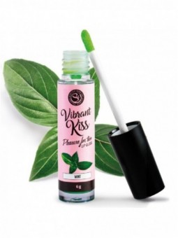 SECRETPLAY LIP GLOSS...