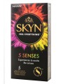 5 Senses 5 Uds