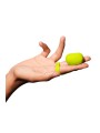 FIN CITRUS