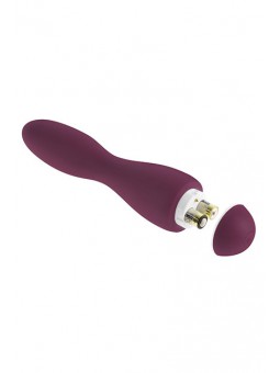 INTRO 4 PURPLE