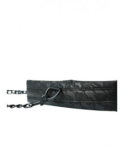 Lace Collar and Leash