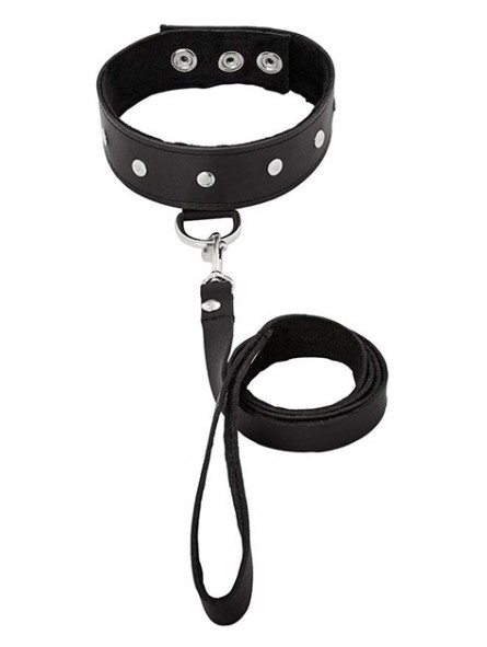 LEATHER LEASH & COLLAR