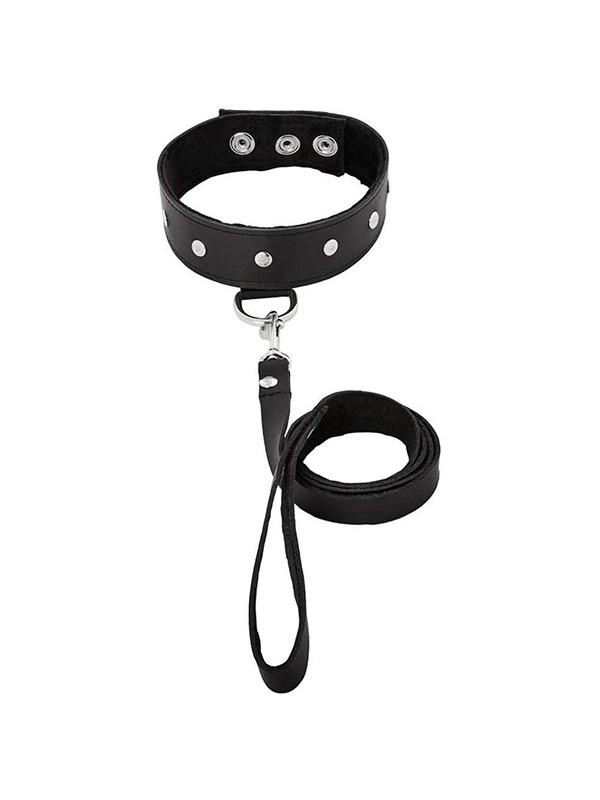 LEATHER LEASH & COLLAR