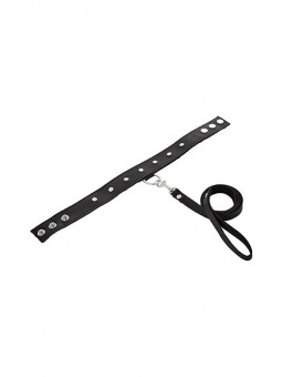 LEATHER LEASH & COLLAR