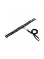 LEATHER LEASH & COLLAR