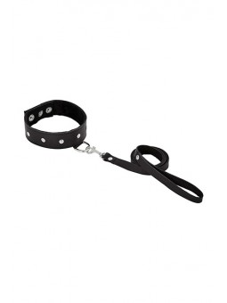 LEATHER LEASH & COLLAR
