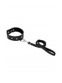 LEATHER LEASH & COLLAR