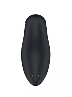 Orca