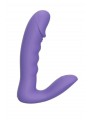 RORA PURPLE