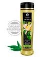 Shunga Massage Oil Green Tea - T? Verde Ex?tico