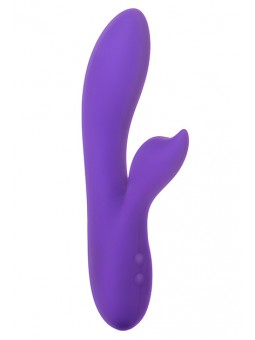 Silhouette S19 - Purple