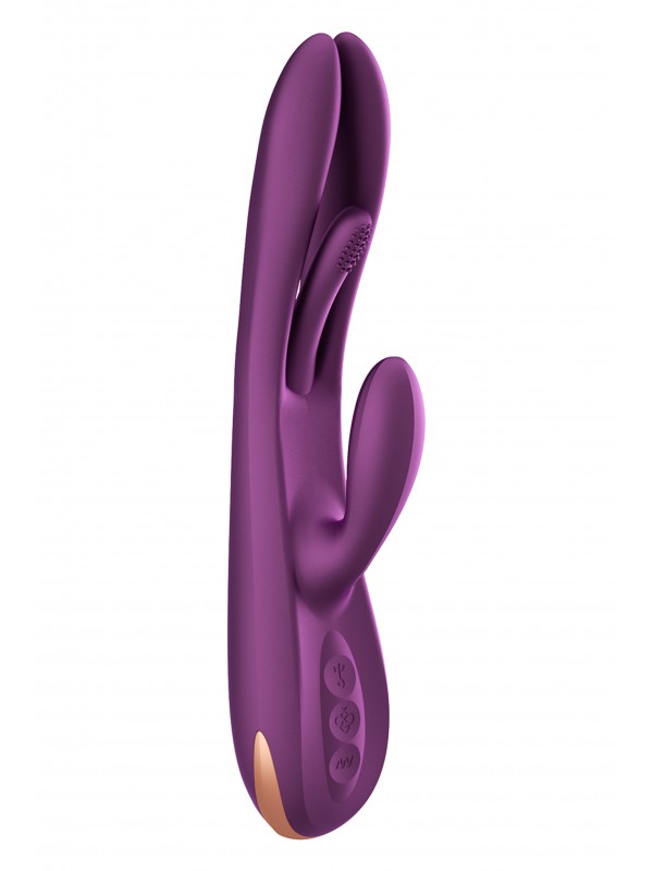 TERRI PURPLE